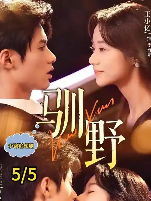 潮汐之上 都市情感电视剧全集